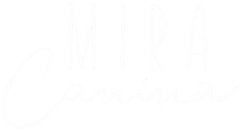 Lettering Typography Sticker