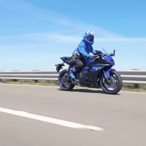 Interspacemonkey cookiemonster interspacemonkey GIF