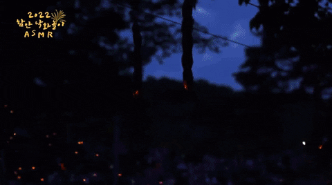 a6257d32486a4c0eb6383ffaf249c5 giphyupload GIF