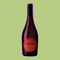 GIF by Grand Tokaj