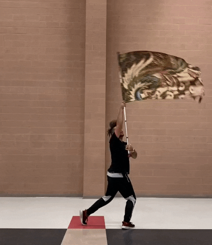 thatguywhospins giphyupload flag spinning colorguard GIF