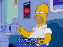 homer simpson GIF