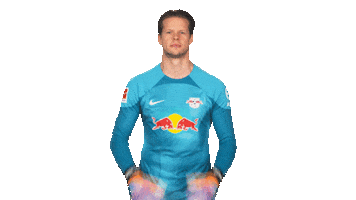 Rbl Leipzig Sticker by Bundesliga