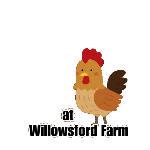 Farm Chickens Sticker by WIllowsford Conservancy