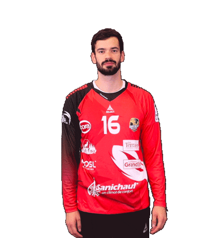 SarrebourgHandball giphyupload handball proligue sarrebourg Sticker