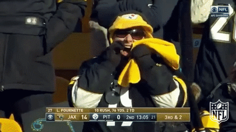Pittsburgh Steelers Football GIF by NFL