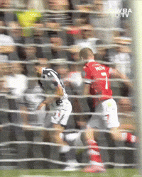 West Brom Price GIF by West Bromwich Albion