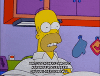 homer simpson GIF
