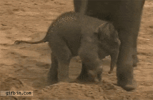 kick GIF