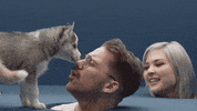 GIF by A R I Z O N A
