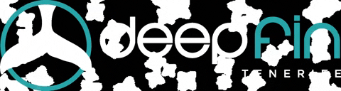 deepfintenerife giphygifmaker diving dive tenerife GIF