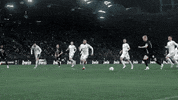 Goal Tor GIF by SK Sturm Graz