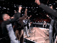 Introducing Nba Finals GIF