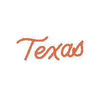 Texas Houston Sticker by Maggie Chen