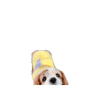 Dog Sticker