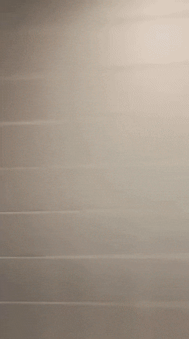 Letts GIF by thatcloudstudio