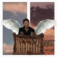 Art Zachar GIF by NACHTSCHIMMEN Music-Theatre-Language NIGHTSHADES