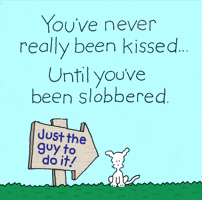 Kiss Me Love GIF by Chippy the Dog
