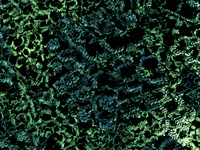 GIF by LATS