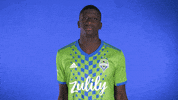 Mls GIF by Seattle Sounders