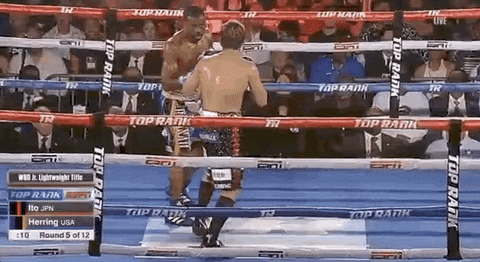 toprank giphyupload boxing fighting champion GIF