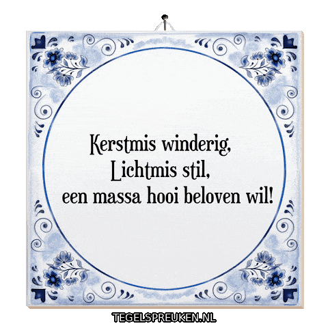 Winter Humor Sticker by Tegelspreuken.nl
