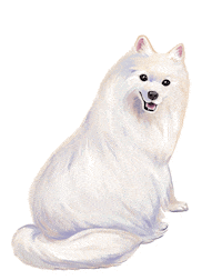 Love Dogs Photography Sticker by puppytales