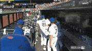 new york mets GIF by MLB