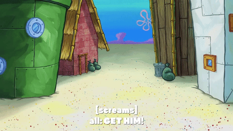 season 9 GIF by SpongeBob SquarePants