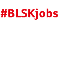 landessparkasse jobs arbeit sparkasse braunschweig Sticker