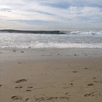 laguna beach GIF by Justin