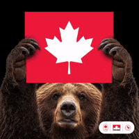 Winter Olympics Bear GIF by PetroCanada