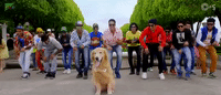 veerey di wedding bollywood GIF