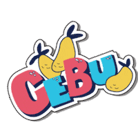 cebu city summer Sticker by Sun