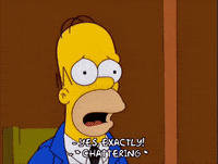 explain homer simpson GIF