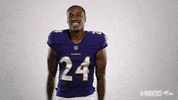 Charm City Football GIF by Baltimore Ravens