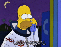 homer simpson GIF