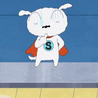 Dog No GIF by Cartoon Network Asia