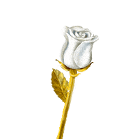 White Rose Flower Sticker by KC & The Sunshine Band