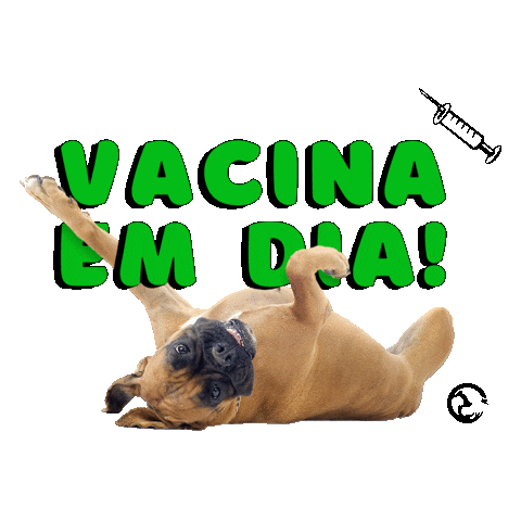 oficio giphyupload cachorro vet veterinaria Sticker