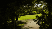 arboretum GIF by Grand Valley State University