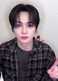 Stray Kids Skz GIF