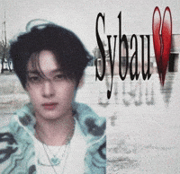 Skz Straykids GIF