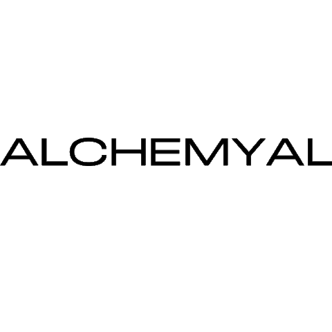 AlchemySalon giphyupload instagram hair tiktok Sticker