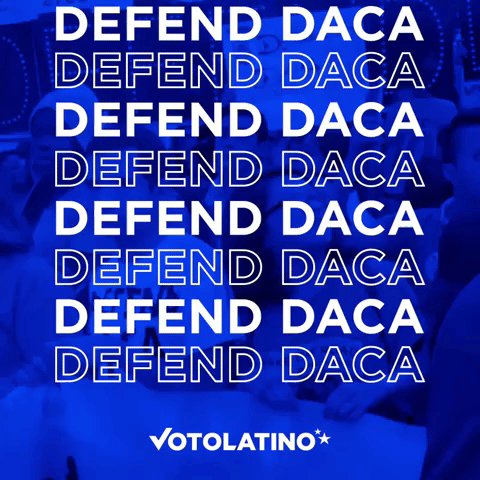 votolatino immigration daca voto latino defend daca GIF