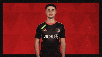 Fortuna Duesseldorf Football GIF by Bundesliga