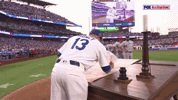 Los Angeles Dodgers Sport GIF by MLB