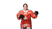 Celebrate National Team Sticker by Swiss Ice Hockey
