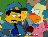 Season 1 GIF by The Simpsons