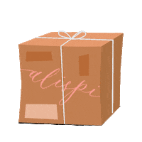 Studio_Alispi box alispi shipping Sticker